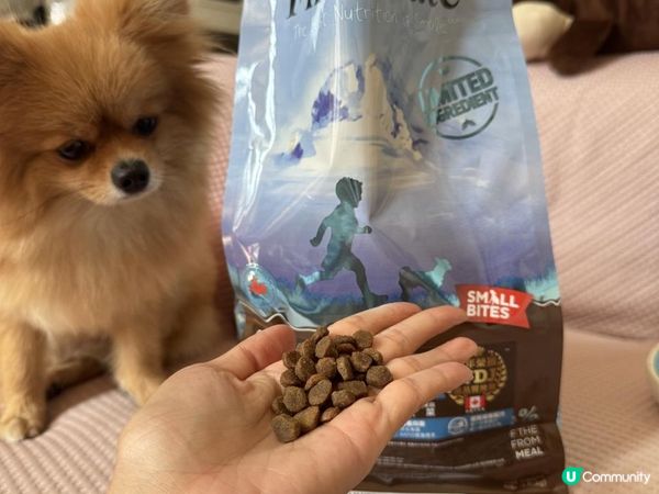 #第一饗宴評價｜單一肉源飼料推薦✨菲菲最近超愛的小顆粒乾乾！