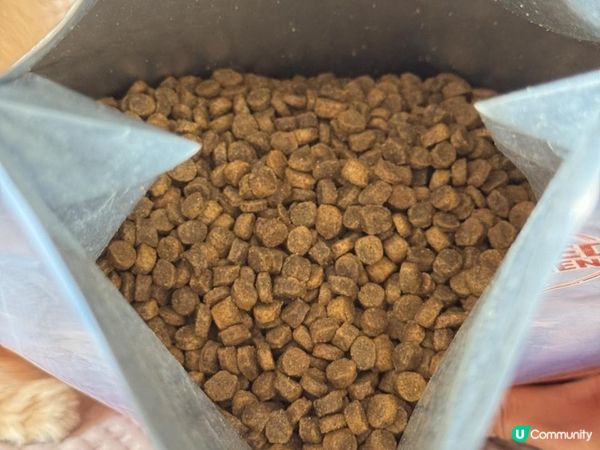 #第一饗宴評價｜單一肉源飼料推薦✨菲菲最近超愛的小顆粒乾乾！