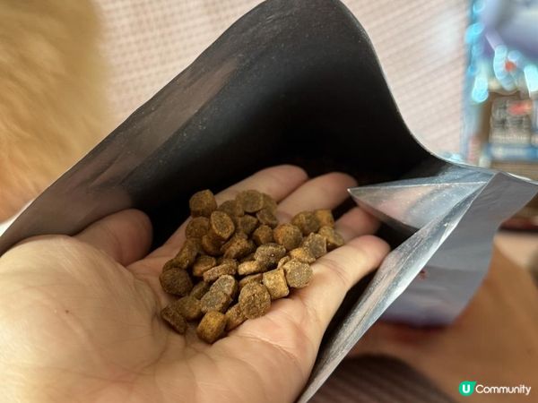 #第一饗宴評價｜單一肉源飼料推薦✨菲菲最近超愛的小顆粒乾乾！