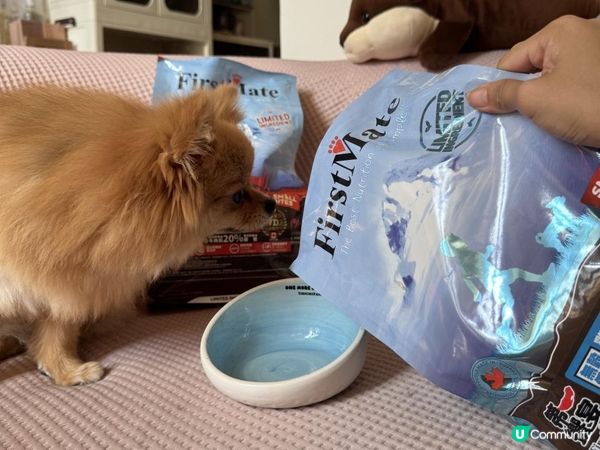 #第一饗宴評價｜單一肉源飼料推薦✨菲菲最近超愛的小顆粒乾乾！