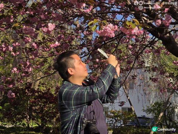 札幌親子好去處＋賞櫻筆記🌸一日券520日圓任搭地鐵！中島公園野餐、圓山公園賞櫻、北海道神宮神級雪糕，追櫻花照住玩就啱！