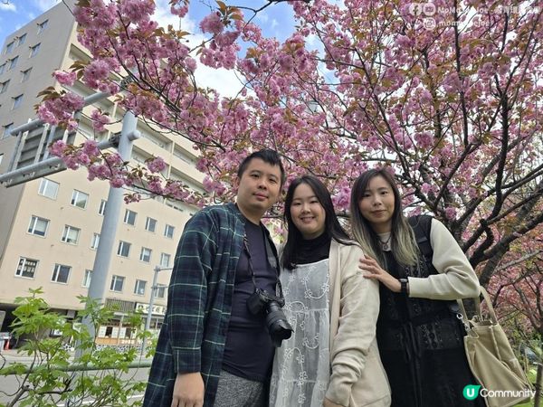 札幌親子好去處＋賞櫻筆記🌸一日券520日圓任搭地鐵！中島公園野餐、圓山公園賞櫻、北海道神宮神級雪糕，追櫻花照住玩就啱！