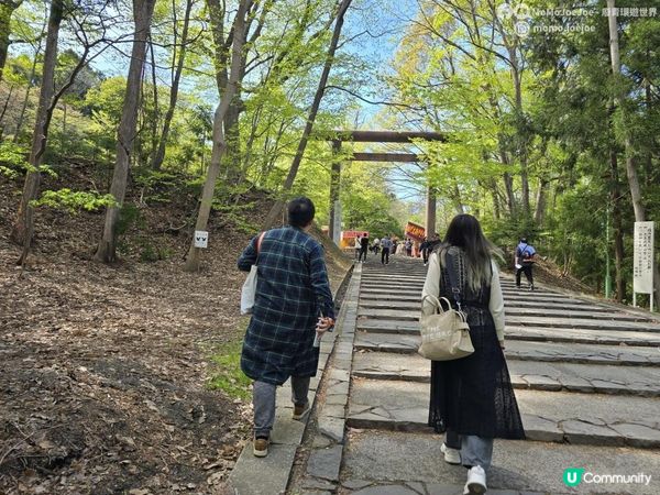 札幌親子好去處＋賞櫻筆記🌸一日券520日圓任搭地鐵！中島公園野餐、圓山公園賞櫻、北海道神宮神級雪糕，追櫻花照住玩就啱！
