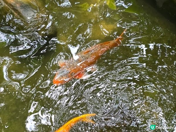 童年回憶之旅 @ 廣州花園酒店 ( DAY 1 )