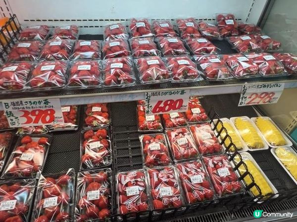 【福岡自由行】超高CP值平價住宿推薦！天神南與渡邊通站省錢雙亮點：直擊機長空姐最愛飯店、無人自助公寓，加碼24小時超市生魚片、草莓掃貨攻略！