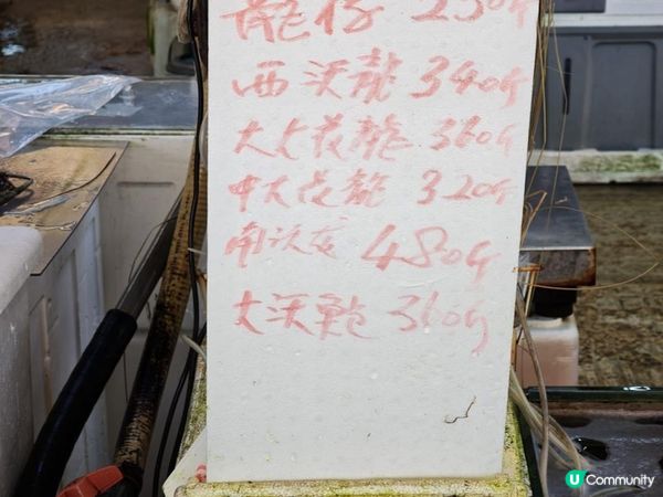 三聖村遊記