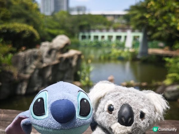 跟住Travel Buddy本地遊 - 荃灣 城門谷公園 賞花