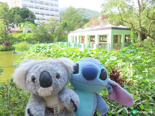 跟住Travel Buddy本地遊 - 荃灣 城門谷公園 賞花