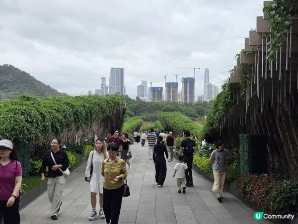 《環迴深圳》X 33年的承諾 X 亞洲50強酒吧 @ 深圳文華東方酒店 ( 深圳 )