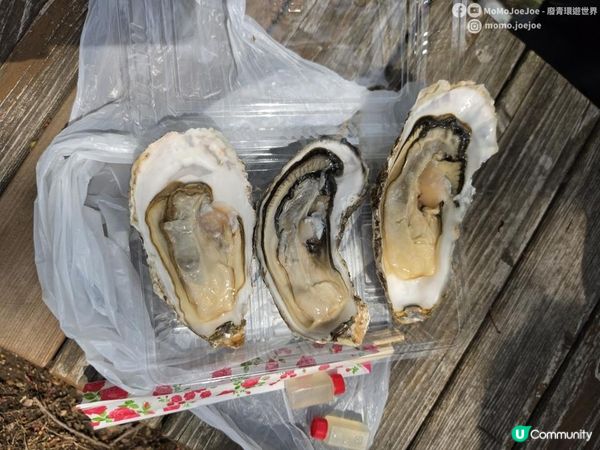 【北海道自由行】札幌一日遊：買二條市場400円生蠔去公園食當早餐？大通公園＋人氣札幌拉麵買三送一拉麵事故😝日本租車自駕需要留意什麼？｜北海道賞櫻美食懶人包🌸日本東極追櫻之旅EP4｜日本4K VLO