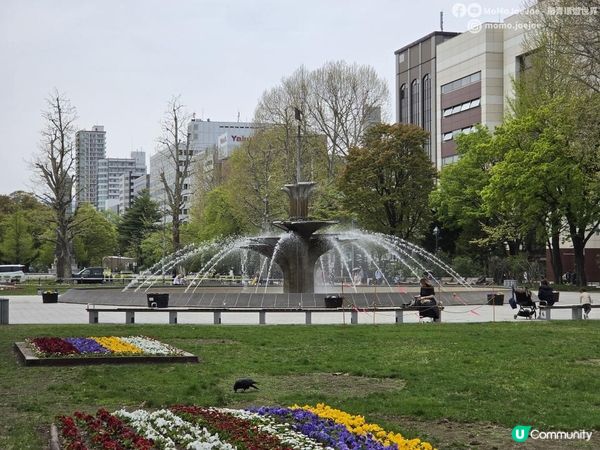 【北海道自由行】札幌一日遊：買二條市場400円生蠔去公園食當早餐？大通公園＋人氣札幌拉麵買三送一拉麵事故😝日本租車自駕需要留意什麼？｜北海道賞櫻美食懶人包🌸日本東極追櫻之旅EP4｜日本4K VLO