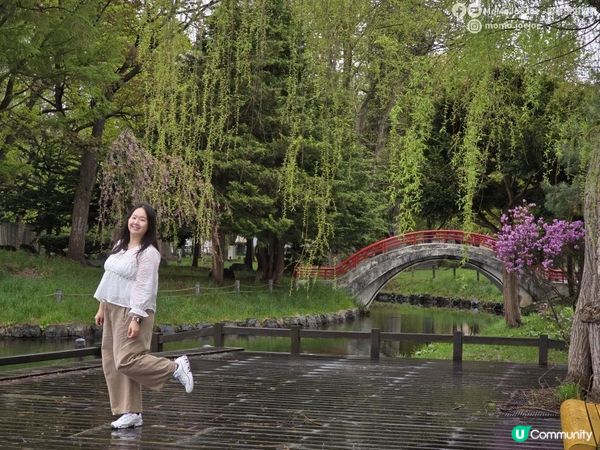 【北海道自由行】$5做粽熊🐻初級成人的快樂！5月仲追到櫻花？去北海道超市減價掃貨！松乃家+松屋合體店，はま寿司24碟¥3000有找！北海道美食賞櫻實測🌸日本東極追櫻之旅EP5｜日本4K VLOG