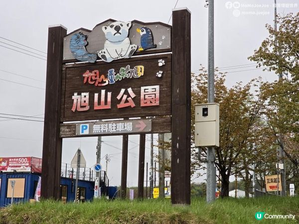 【北海道自由行】$5做粽熊🐻初級成人的快樂！5月仲追到櫻花？去北海道超市減價掃貨！松乃家+松屋合體店，はま寿司24碟¥3000有找！北海道美食賞櫻實測🌸日本東極追櫻之旅EP5｜日本4K VLOG
