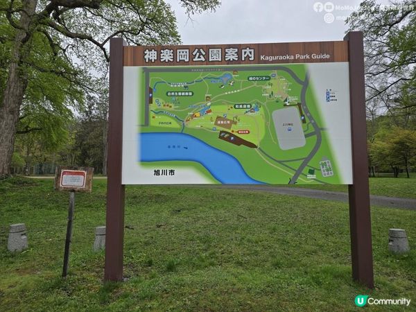 旭川自由行攻略筆記版！旭川酒店¥371五人房開箱！AEON激安刺身¥97、北菓樓泡芙正到震、HAMA壽司24碟¥3,000