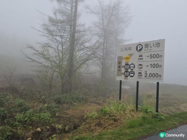 【北海道自由行】淡季沒有花的美瑛還美嗎？《飢餓遊戲》迷霧青池+不動瀑布🤩充滿人情味﹑有超稀有美瑛和牛的燒肉店！北海道美瑛美食賞櫻實測🌸日本東極追櫻之旅EP6｜日本4KVLOG