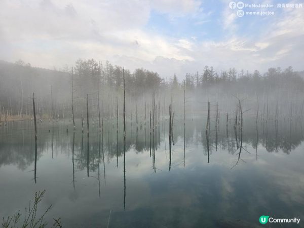 美瑛暴雨大霧奇遇記！青池五分鐘藍天奇蹟、白金瀑布水量暴增、美瑛和牛稀有燒肉大公開🤩