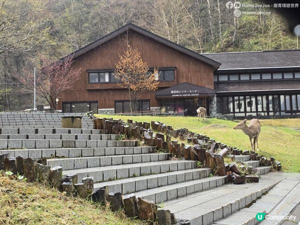 入住層雲峽溫泉酒店大霧大雨摸黑入住，管理員一句「等你」暖到喊、天然硫磺泉包場，呢間酒店嘅故事值得你專程去！