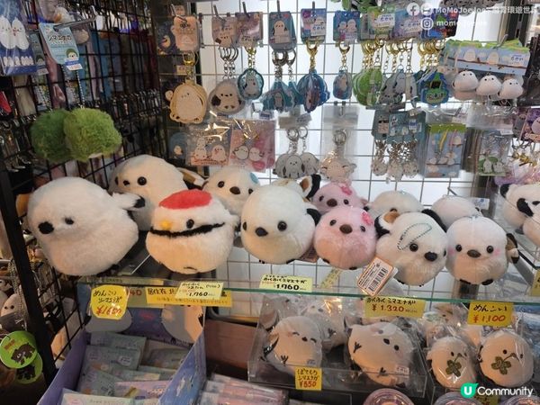 【北海道自由行】牧場風光：北見市面積=香川縣¾🐄薄荷產量曾佔全球70%？AEON的小樽なると屋 + 阿寒湖溫泉街實況｜隱世弟子屈町蝦美食推薦🌸日本東極追櫻之旅EP8｜日本4KVLOG