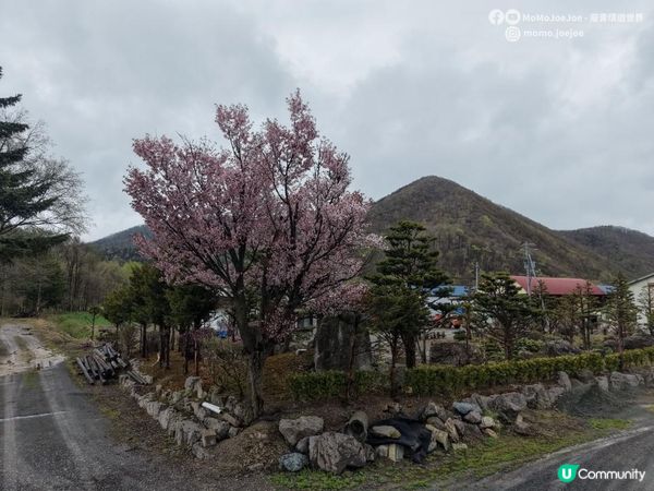 580公里道東自駕一日玩晒！北見洋蔥王國、阿寒湖0度寒風、弟子屈町家庭式咖喱，你敢唔敢挑戰？