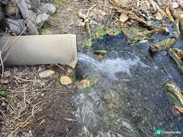 道東絕景一日遊！屈斜路湖免費野溫泉、砂湯挖沙即出熱水、硫磺山臭到頭暈，你敢唔敢挑戰？