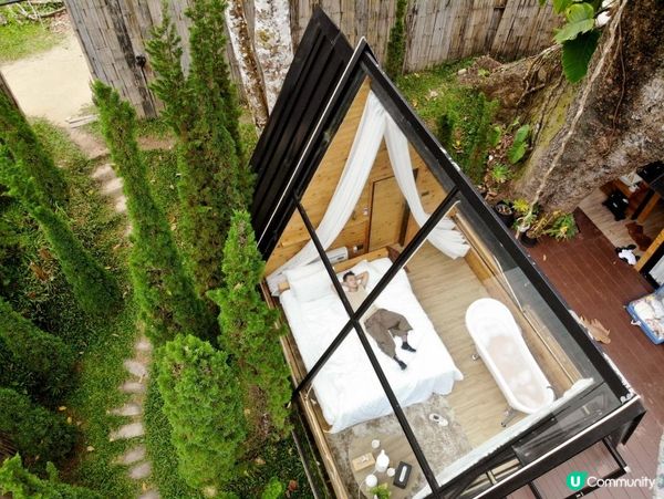 泰國清邁的特色玻璃屋華麗露營住宿+網美打卡藍莓雪糕橘子咖啡店