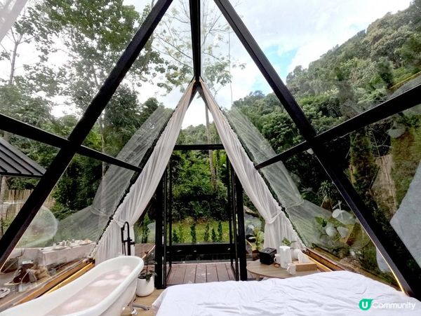 泰國清邁的特色玻璃屋華麗露營住宿+網美打卡藍莓雪糕橘子咖啡店