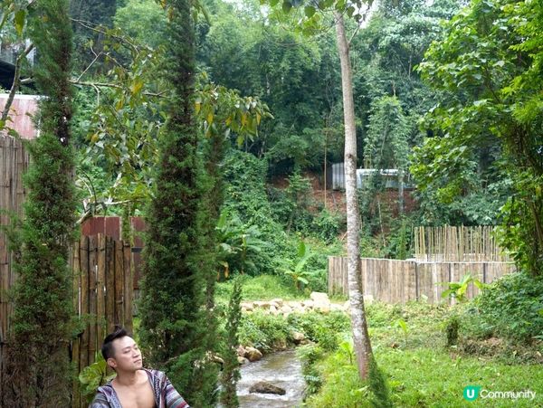 泰國清邁的特色玻璃屋華麗露營住宿+網美打卡藍莓雪糕橘子咖啡店