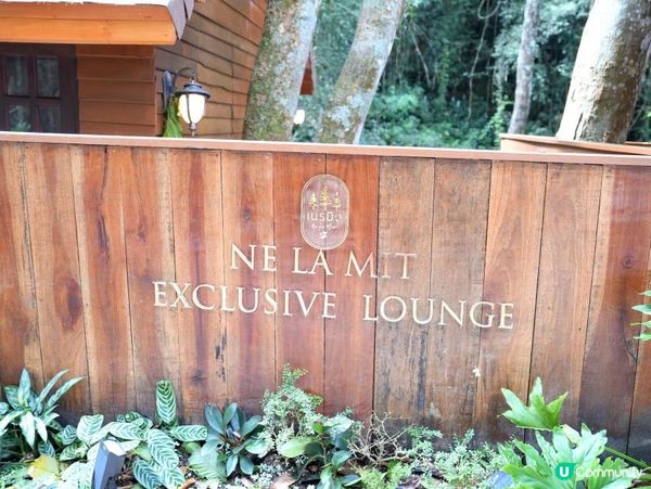 泰國清邁的特色玻璃屋華麗露營住宿+網美打卡藍莓雪糕橘子咖啡店