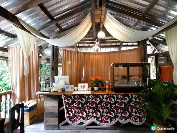 泰國清邁的特色玻璃屋華麗露營住宿+網美打卡藍莓雪糕橘子咖啡店