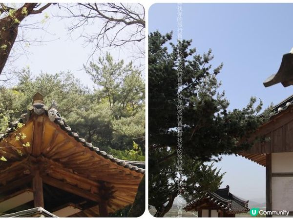 2023韓國慶州兩天行程規劃分享02: 良洞村及佛國寺