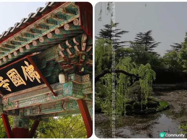 2023韓國慶州兩天行程規劃分享02: 良洞村及佛國寺