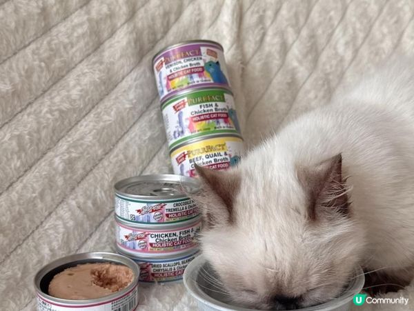 PURRFACT 波菲特貓用主食罐｜