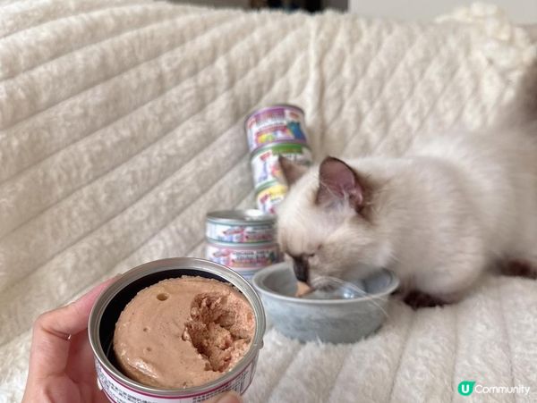 PURRFACT 波菲特貓用主食罐｜