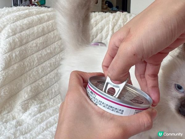 PURRFACT 波菲特貓用主食罐｜