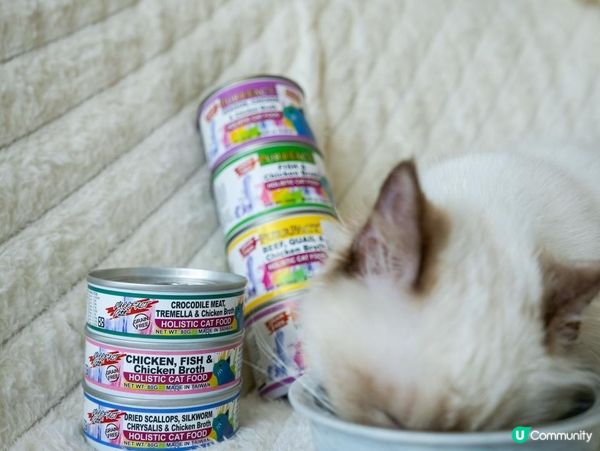 PURRFACT 波菲特貓用主食罐｜