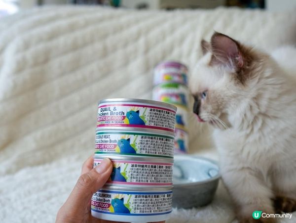 PURRFACT 波菲特貓用主食罐｜