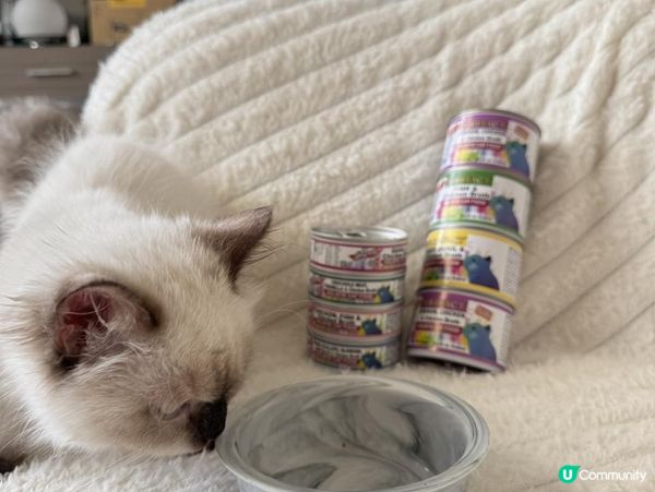 PURRFACT 波菲特貓用主食罐｜