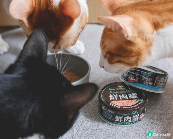 【教學文】教你點係台灣「汪喵星球」官網落單，慳水慳力仲有優惠