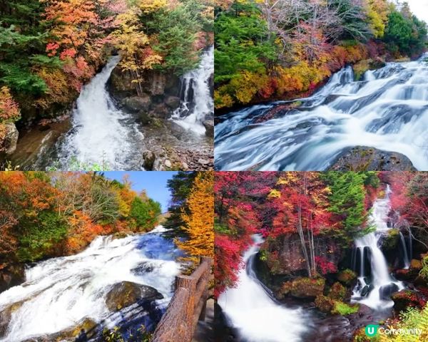 日光TOP 5 必去，東京近郊二日遊!