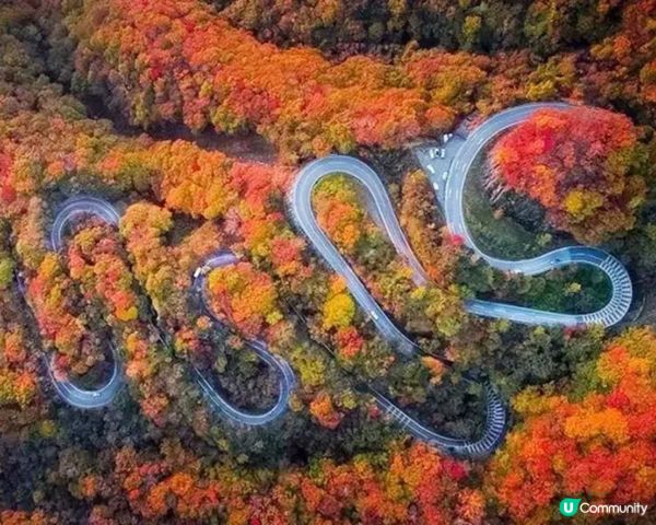日光TOP 5 必去，東京近郊二日遊!