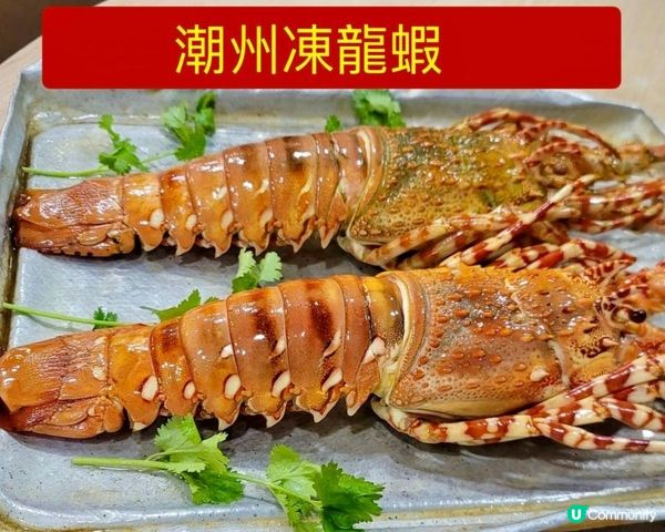 第一次去紅磡新忠記，潮州打冷原來可以這樣吃