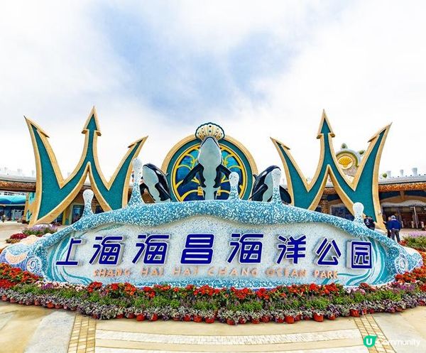 11月生日的注意了！上海海昌海洋公園送免費門票！