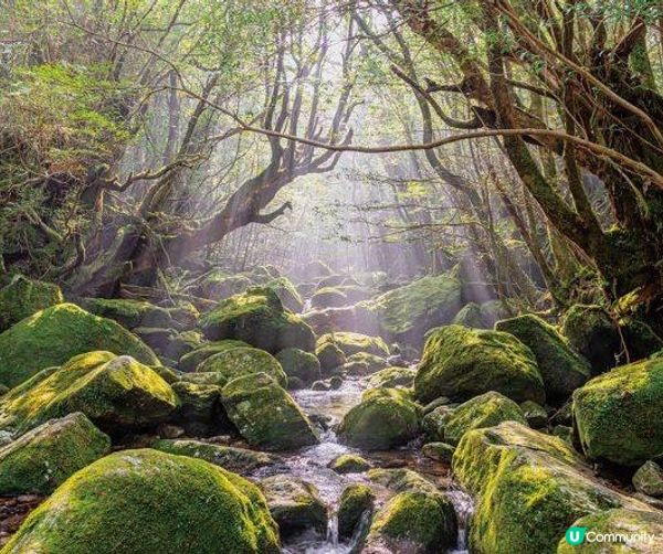 別轉錦鯉了！ 來看看日本這些有名的power spot吧