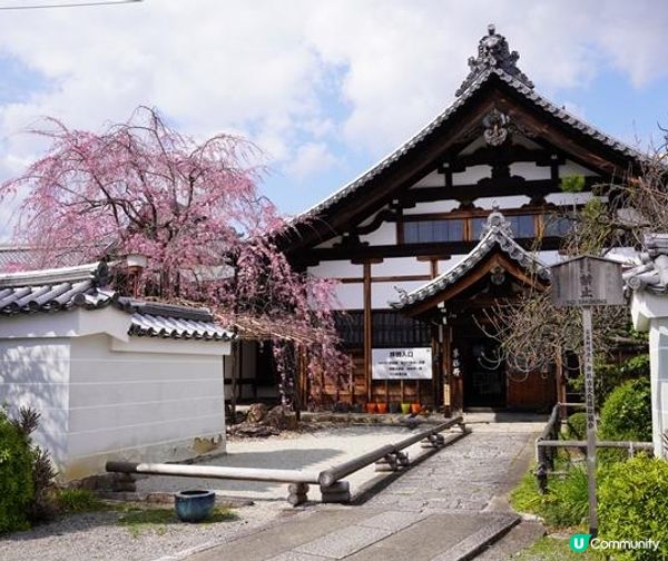 有1000隻招財貓的寺廟——京都貓戀寺