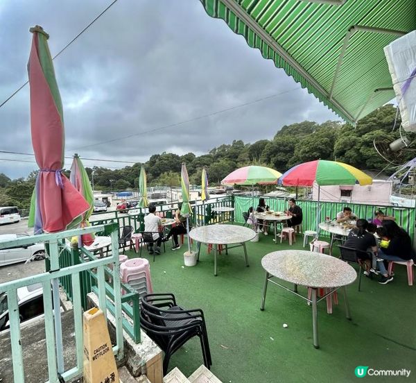 大帽山 半天遊｜端記茶樓｜狗尾草田｜貓貓壁畫屋