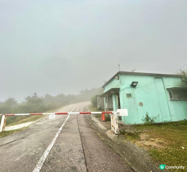 大帽山 半天遊｜端記茶樓｜狗尾草田｜貓貓壁畫屋