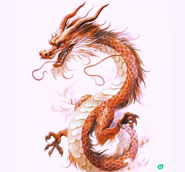 龍