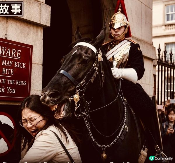 被馬咬的人
