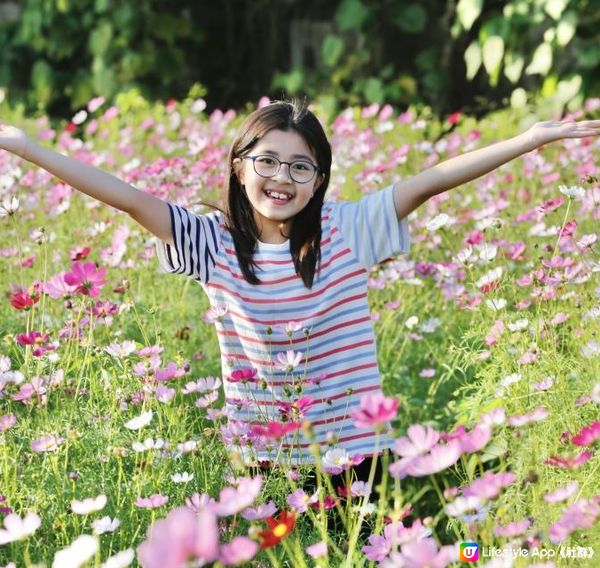 信芯園農莊｜夢幻粉色花海 🌸🌼 場內設有多個特色打卡位 📸