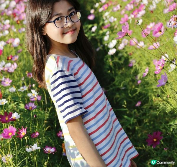 信芯園農莊｜夢幻粉色花海 🌸🌼 場內設有多個特色打卡位 📸